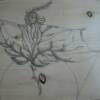 Virgo
pencil on board
11" x 17"
*paper prints only